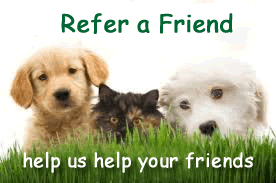refer a friend refer a friend
