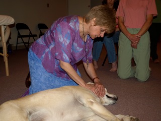 Lourdes-reiki-animal-treatment.jpg