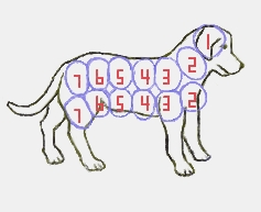 Reiki-hand-positions-for-animals-dog.JPG